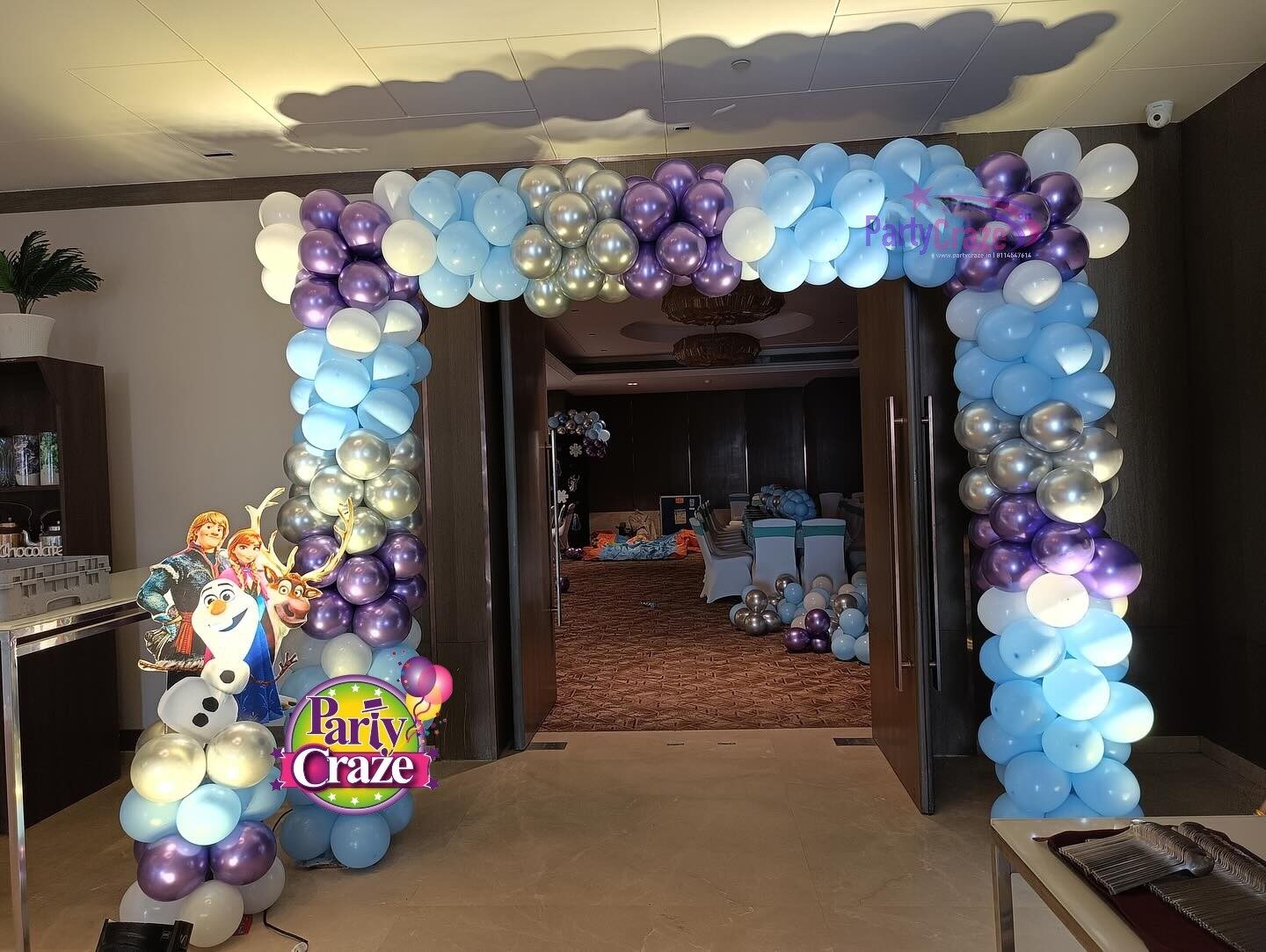 Frozen Theme 1