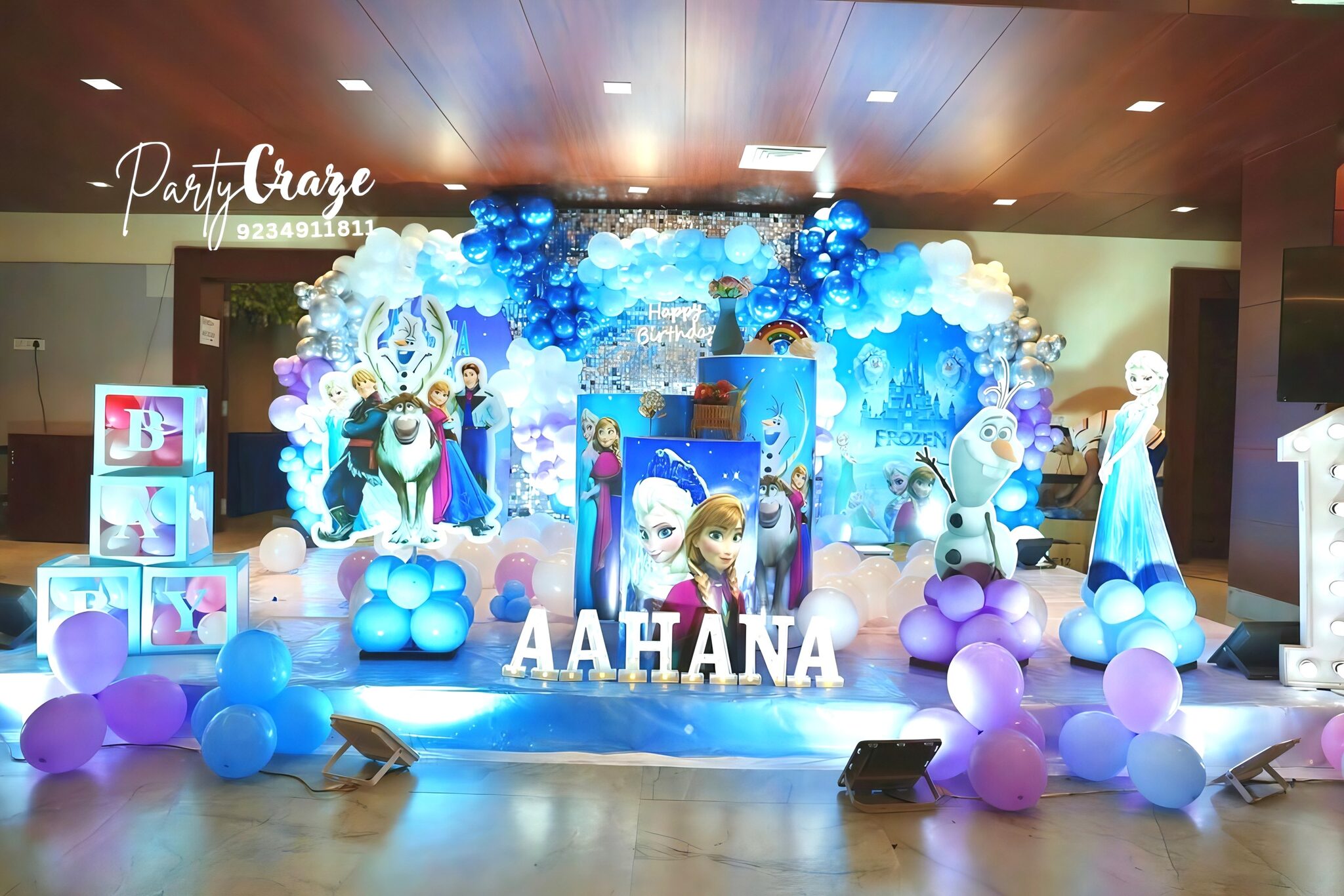 Frozen Theme 2