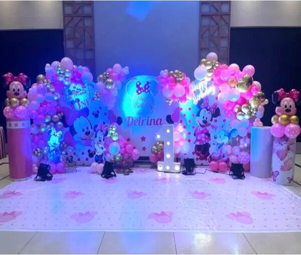 Minnie Mouse Theme 10