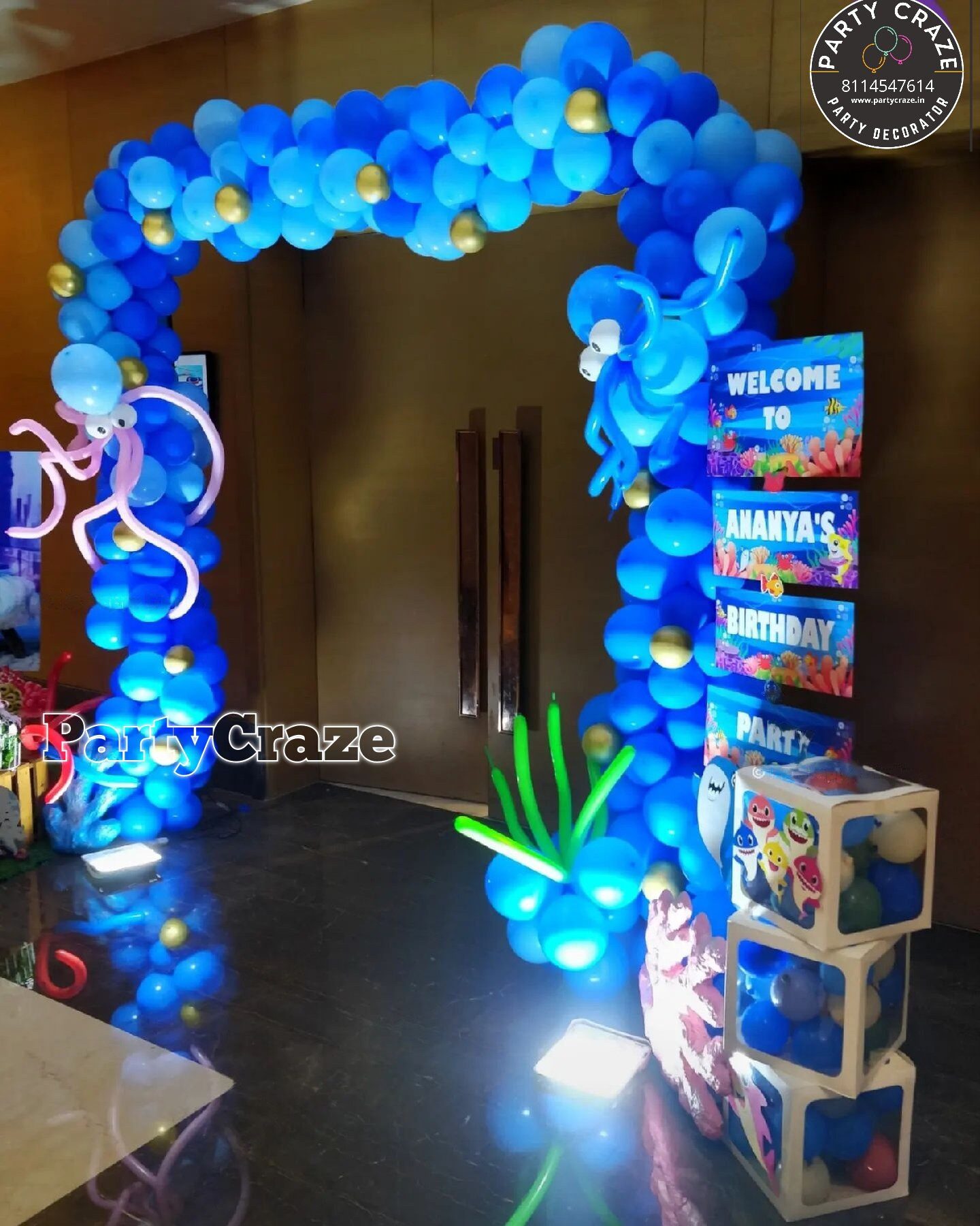 Baby Shark Theme Decoration - 02