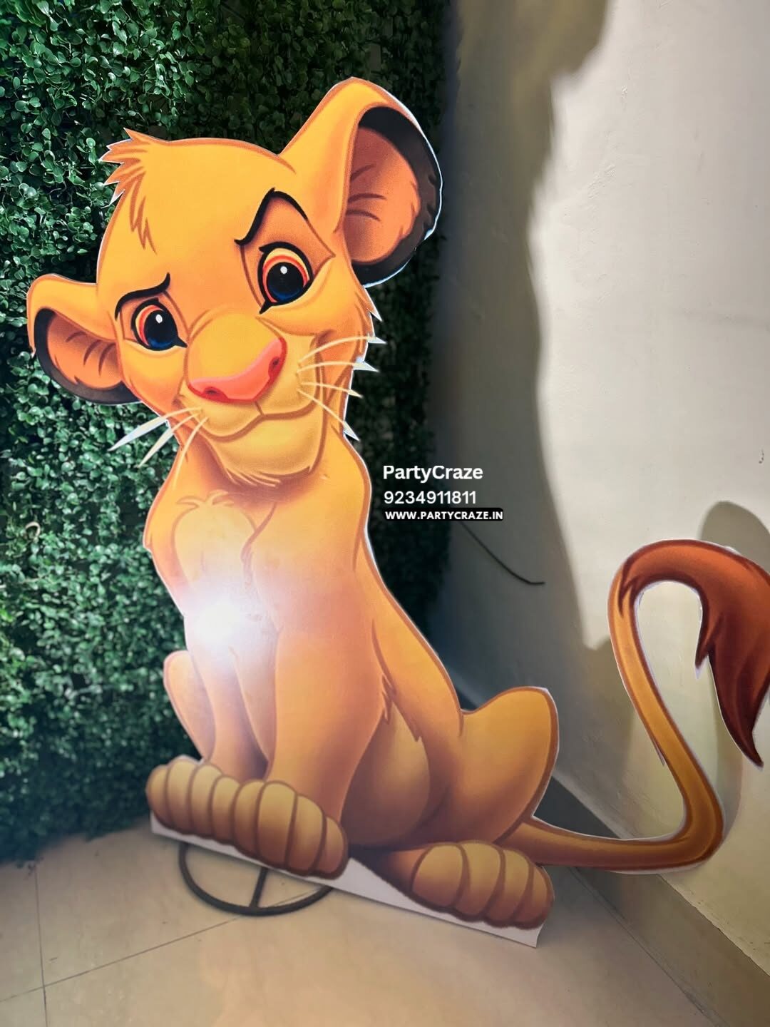 Kids Birthday Decoration - 58
