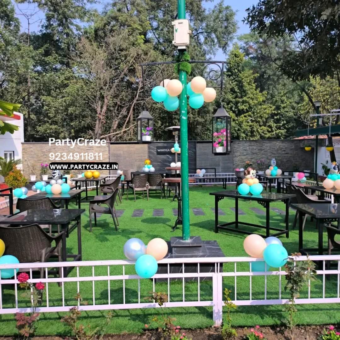 Kids Birthday Decoration - 36