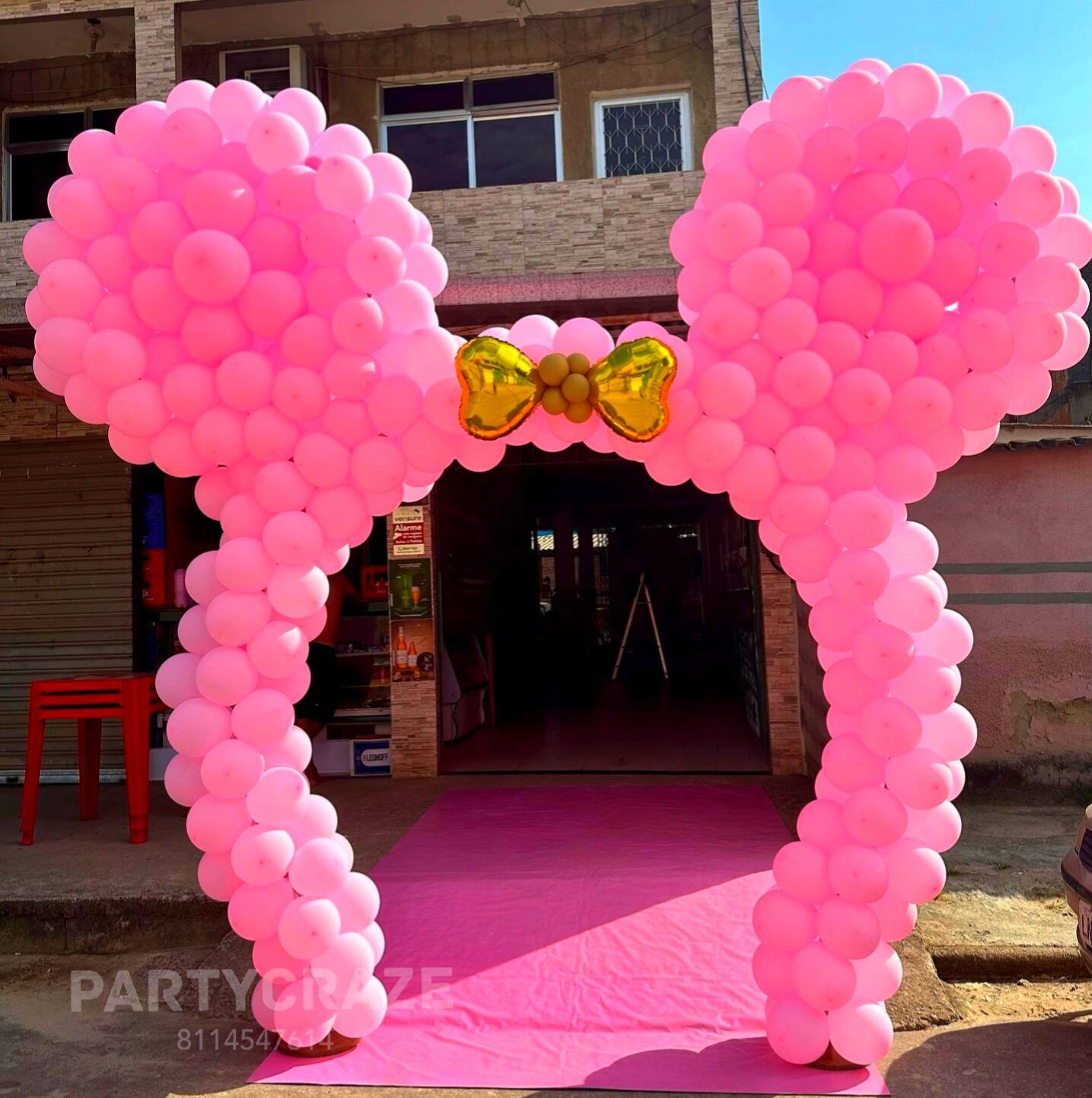 Minnie Mouse Theme Decoration - 01