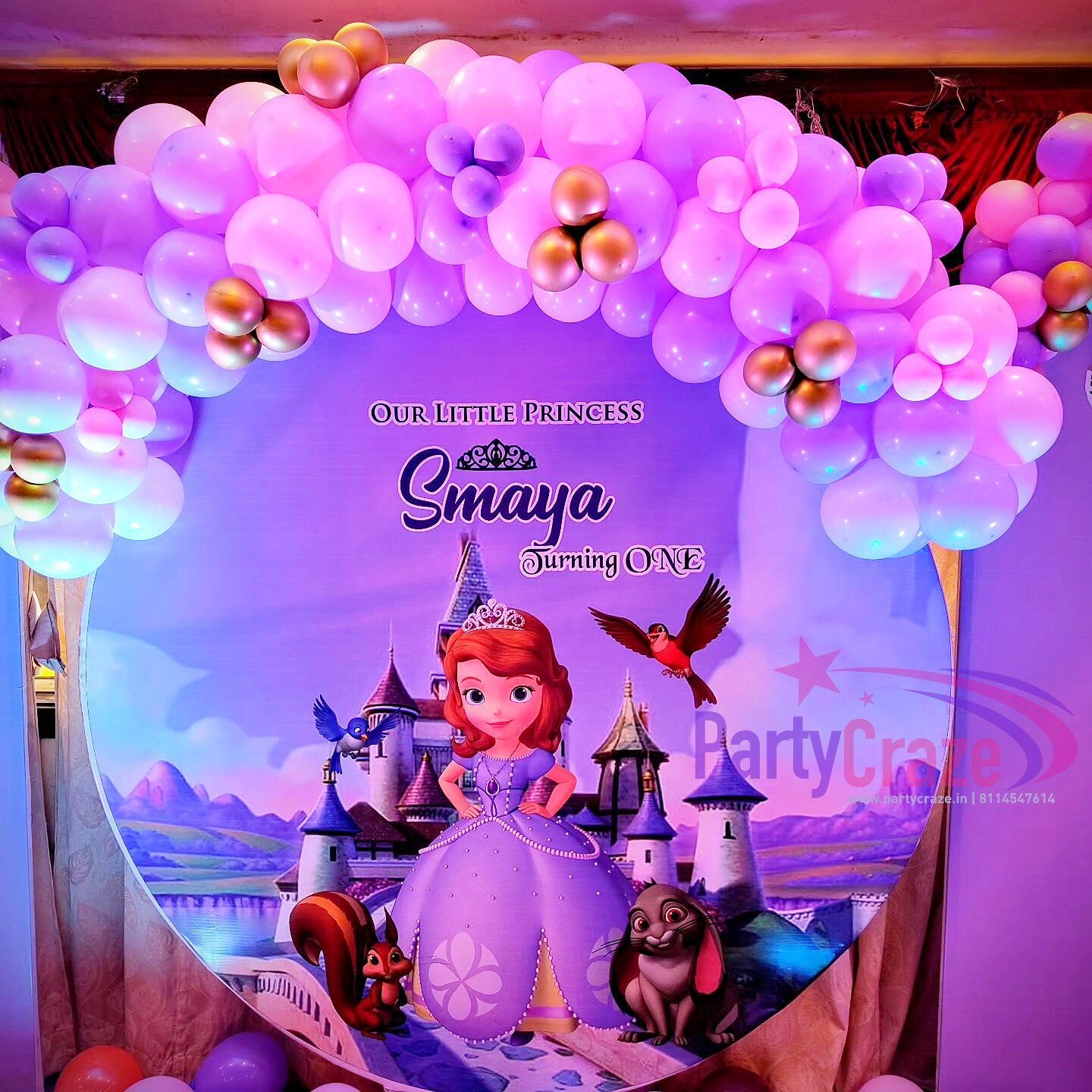Sofia Princess Theme Decoration - 01